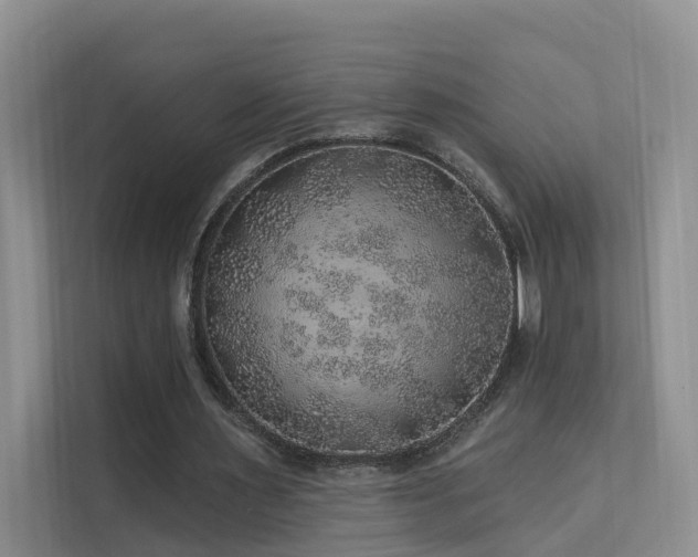 X0000112160483200908071141