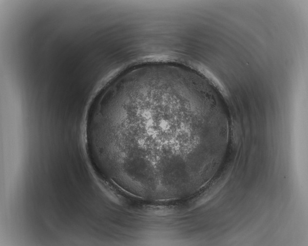 X0000112160486200908071141