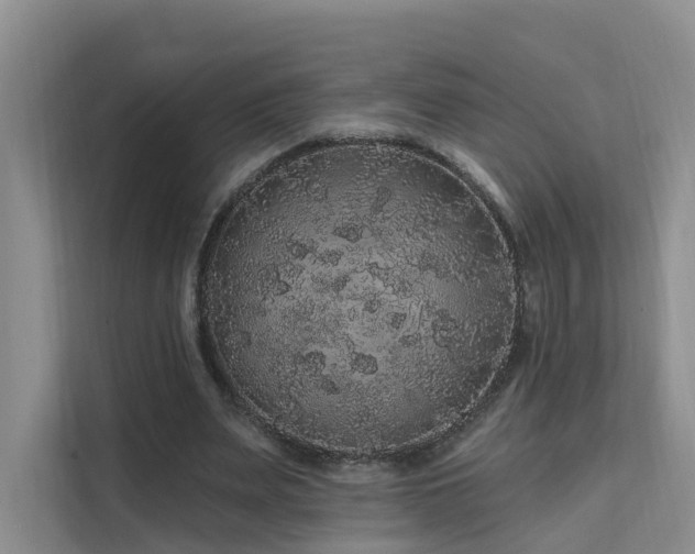X0000112160487200908071141