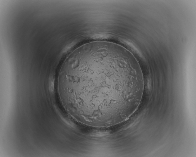 X0000112160491200908071141