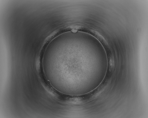 X0000112160492200908071141