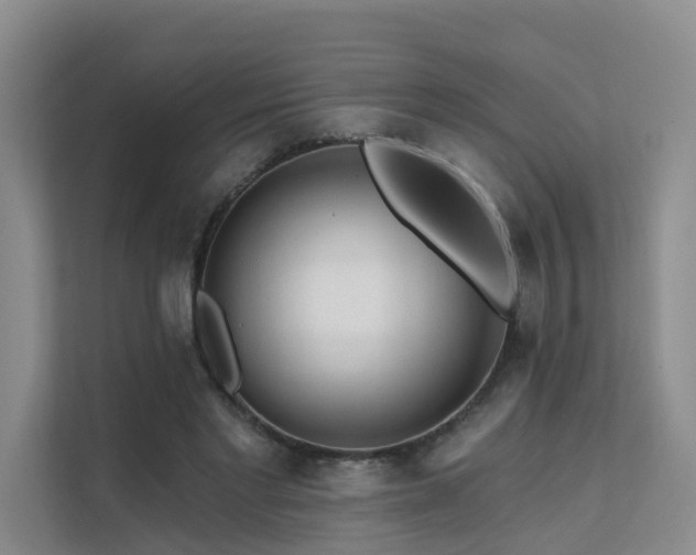 X0000112160493200908071141