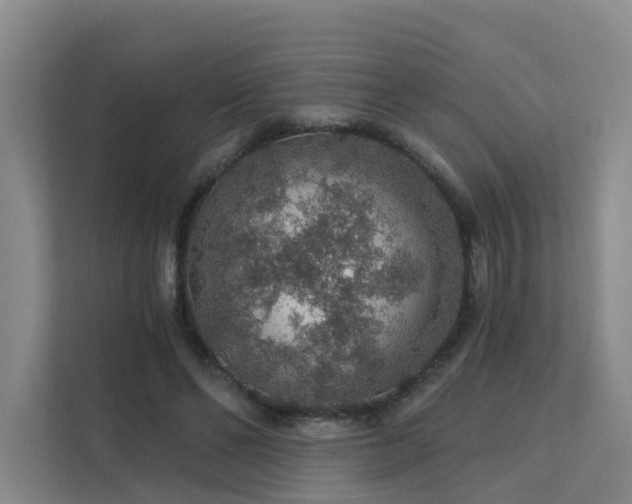 X0000112160494200908071141