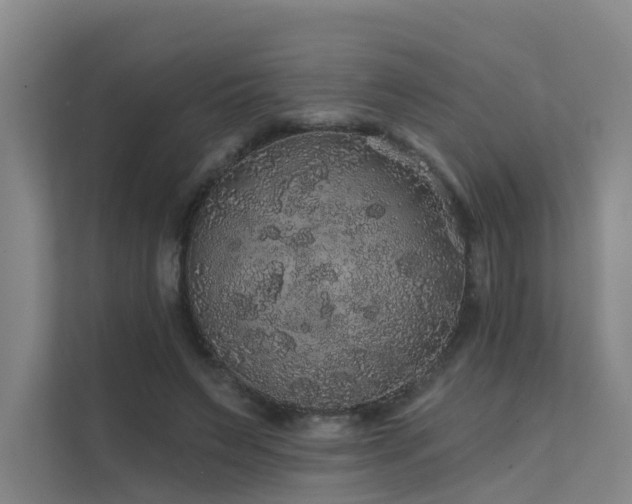 X0000112160495200908071141