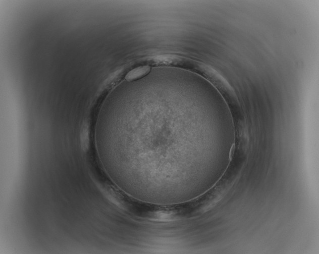 X0000112160496200908071141