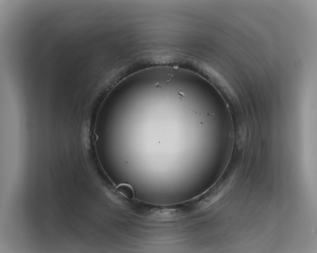 X0000112160497200908071141