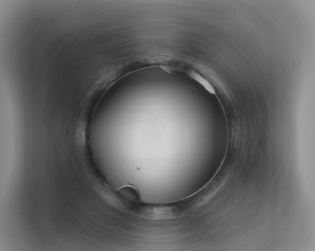 X0000112160501200908071141