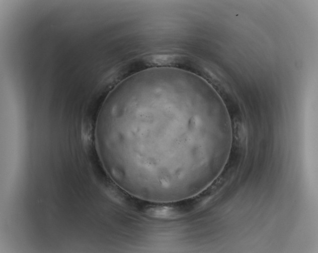 X0000112160507200908071141