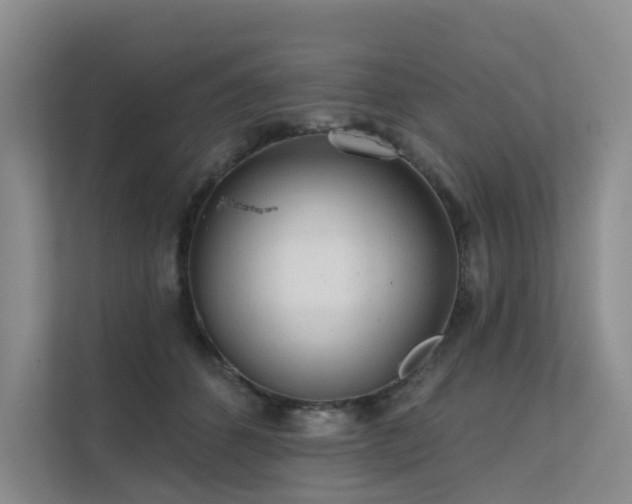 X0000112160512200908071141