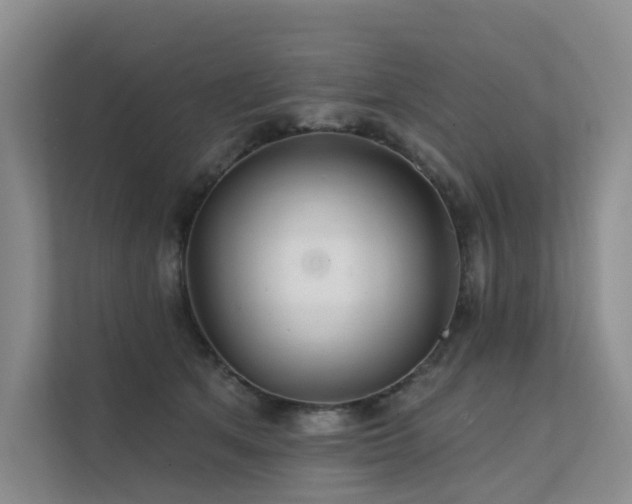 X0000112160513200908071141