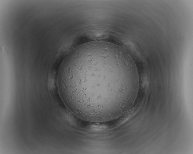 X0000112160515200908071141