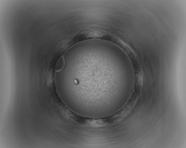 X0000112160517200908071141