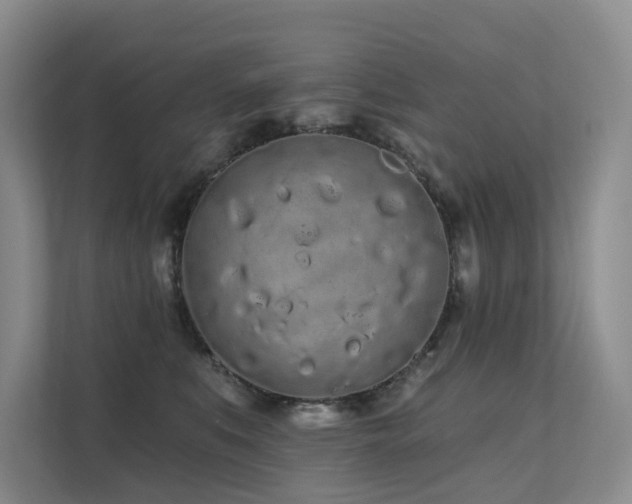 X0000112160519200908071141