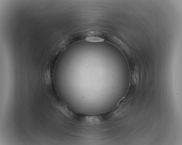 X0000112160520200908071141