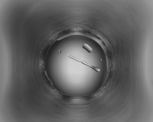 X0000112160521200908071141