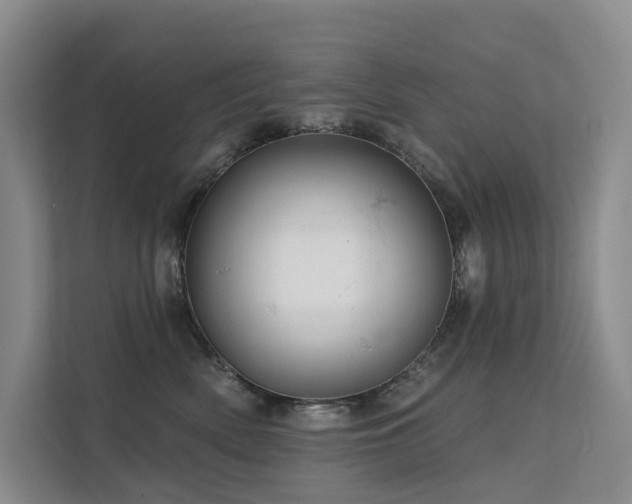 X0000112160522200908071141
