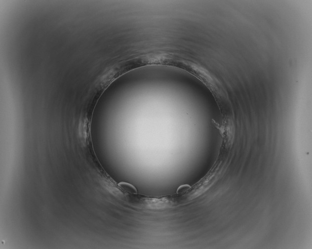 X0000112160525200908071140