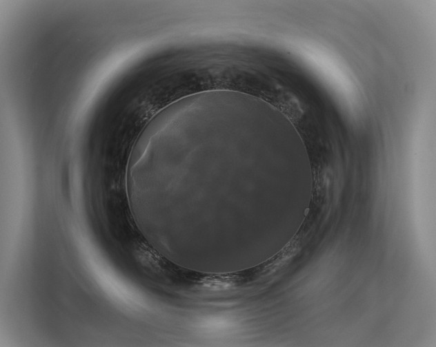 X0000112160526200908071140