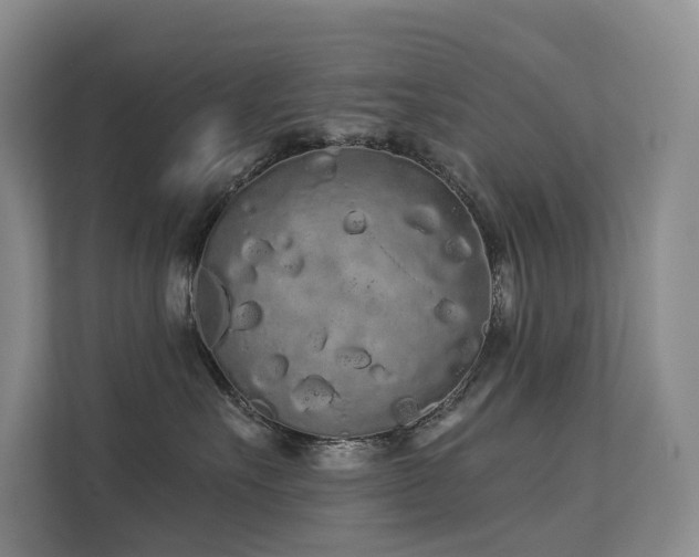 X0000112160527200908071140