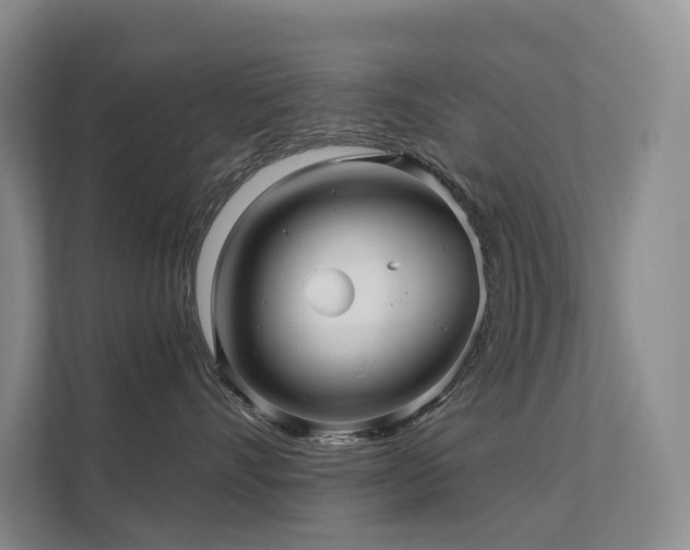 X0000112160528200908071140