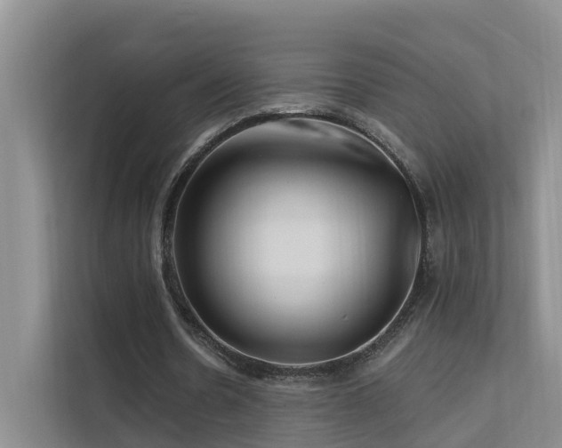 X0000112160530200908071140