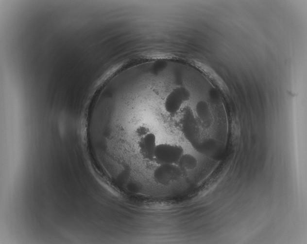 X0000112160533200908071140