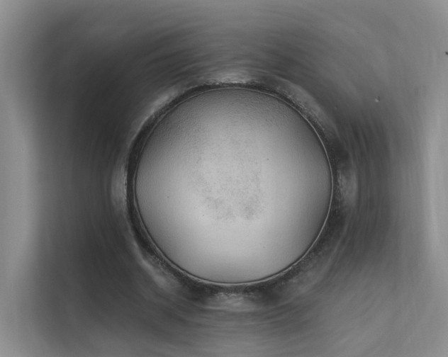 X0000112160534200908071140