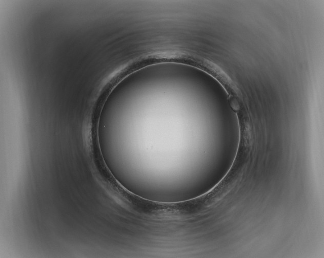 X0000112160535200908071140