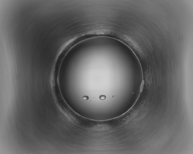X0000112160536200908071140