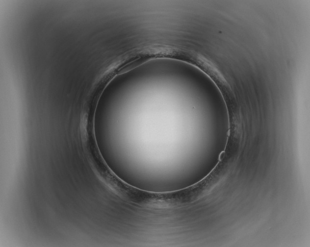 X0000112160538200908071140