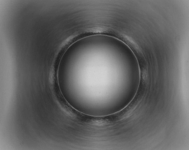 X0000112160540200908071140