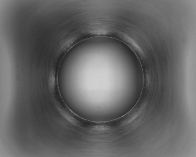 X0000112160541200908071140