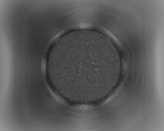 X0000112160542200908071140