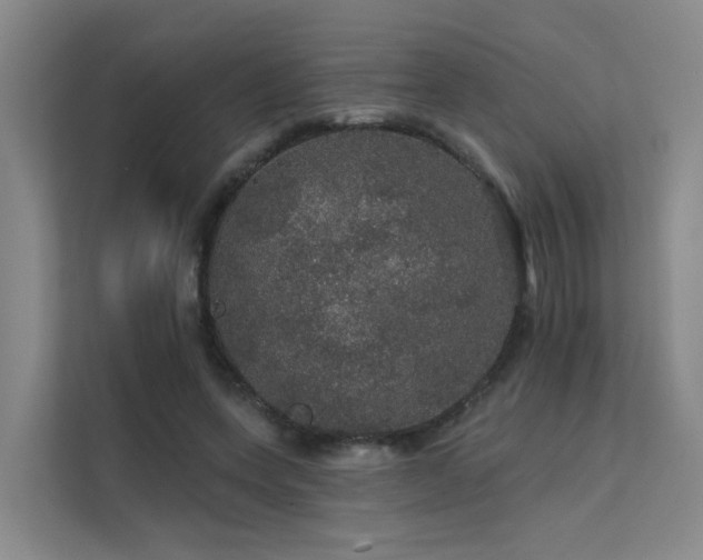X0000112160543200908071140