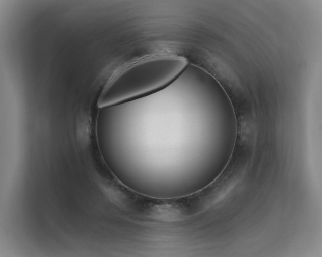 X0000112160544200908071140