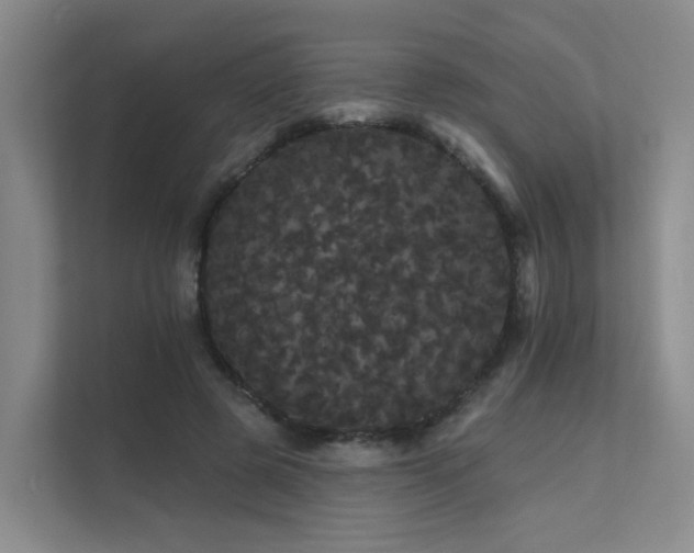 X0000112160545200908071140