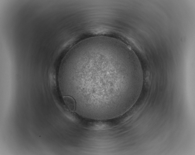 X0000112160547200908071140