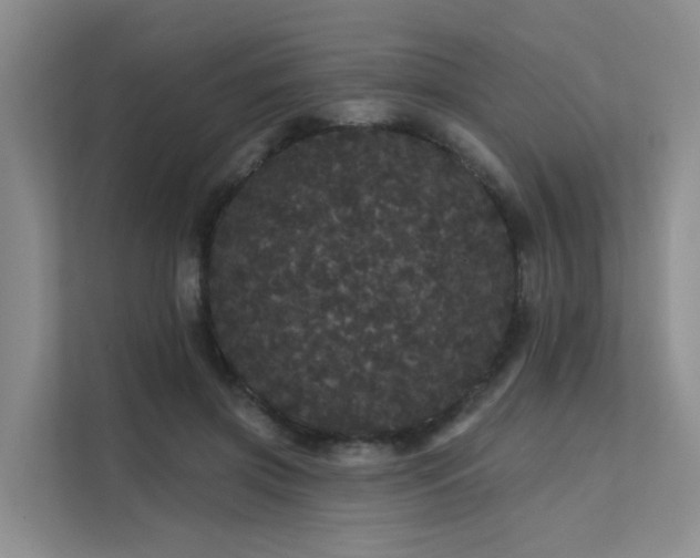 X0000112160549200908071140