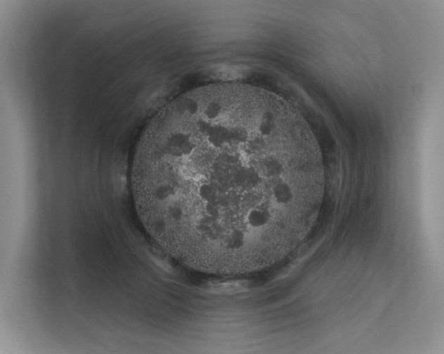 X0000112160553200908071140