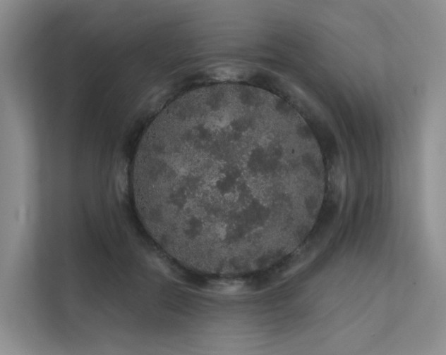 X0000112160554200908071140