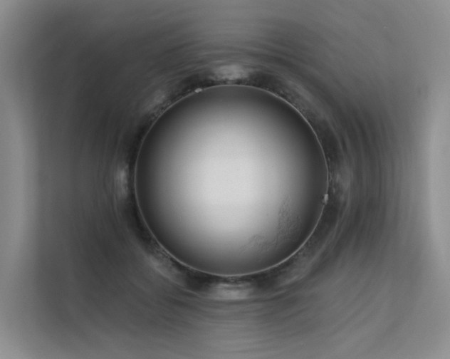 X0000112160556200908071140
