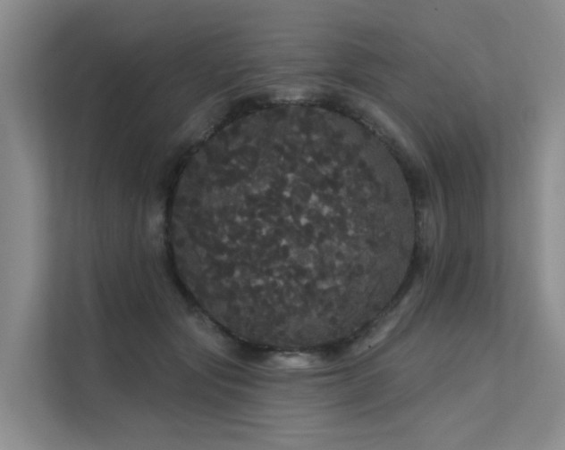 X0000112160557200908071140