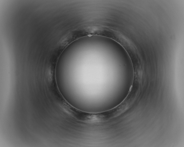 X0000112160558200908071140