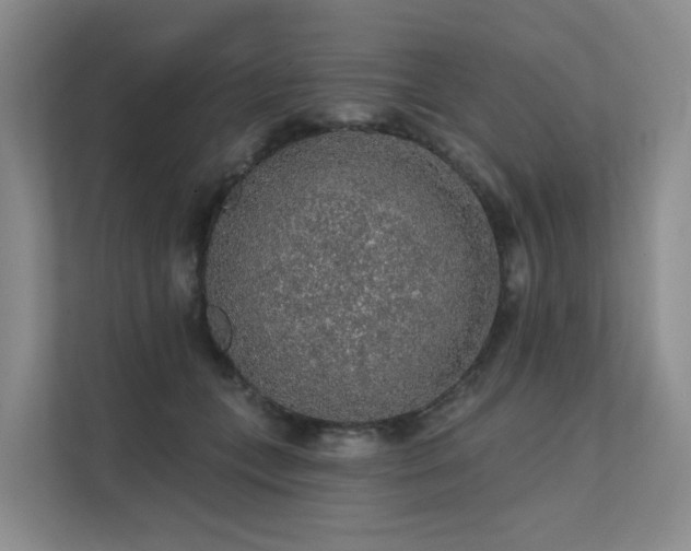 X0000112160559200908071140