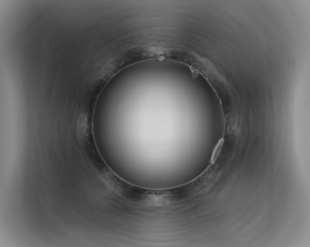 X0000112160560200908071140