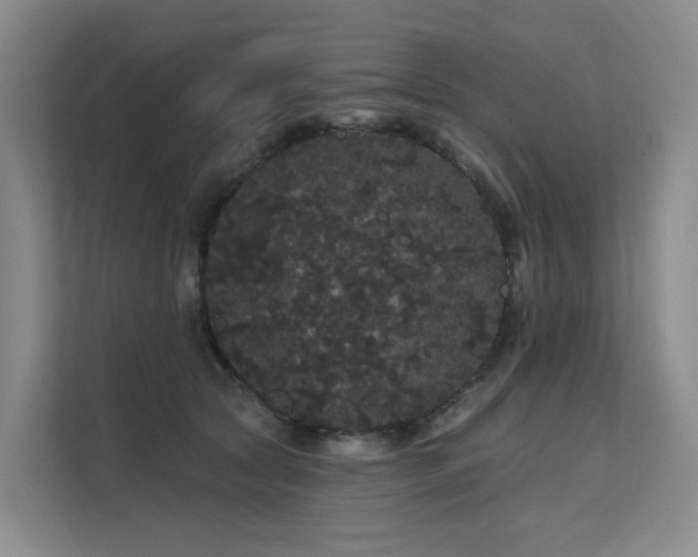 X0000112160561200908071140