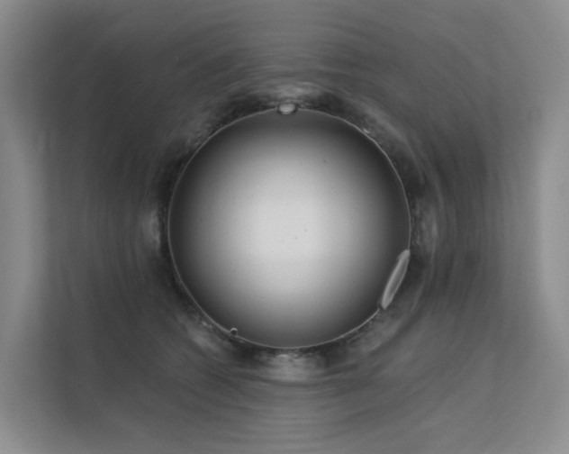 X0000112160562200908071140