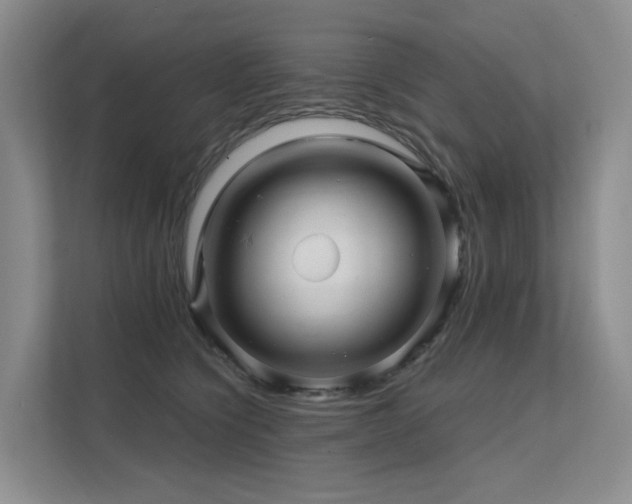X0000112160564200908071140