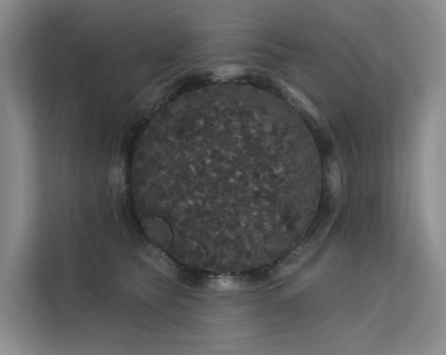 X0000112160565200908071140