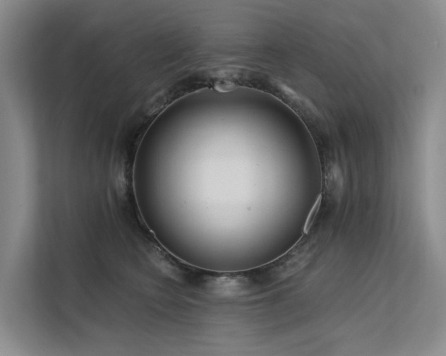 X0000112160566200908071140